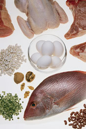 images of various protein-rich foods such as fish, eggs, chicken, red meat and beans
